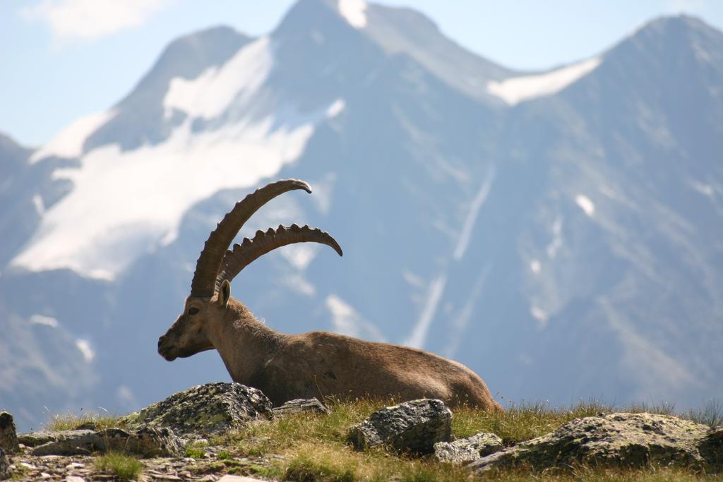 S'Huamatl Διαμέρισμα Sankt Leonhard im Pitztal Εξωτερικό φωτογραφία